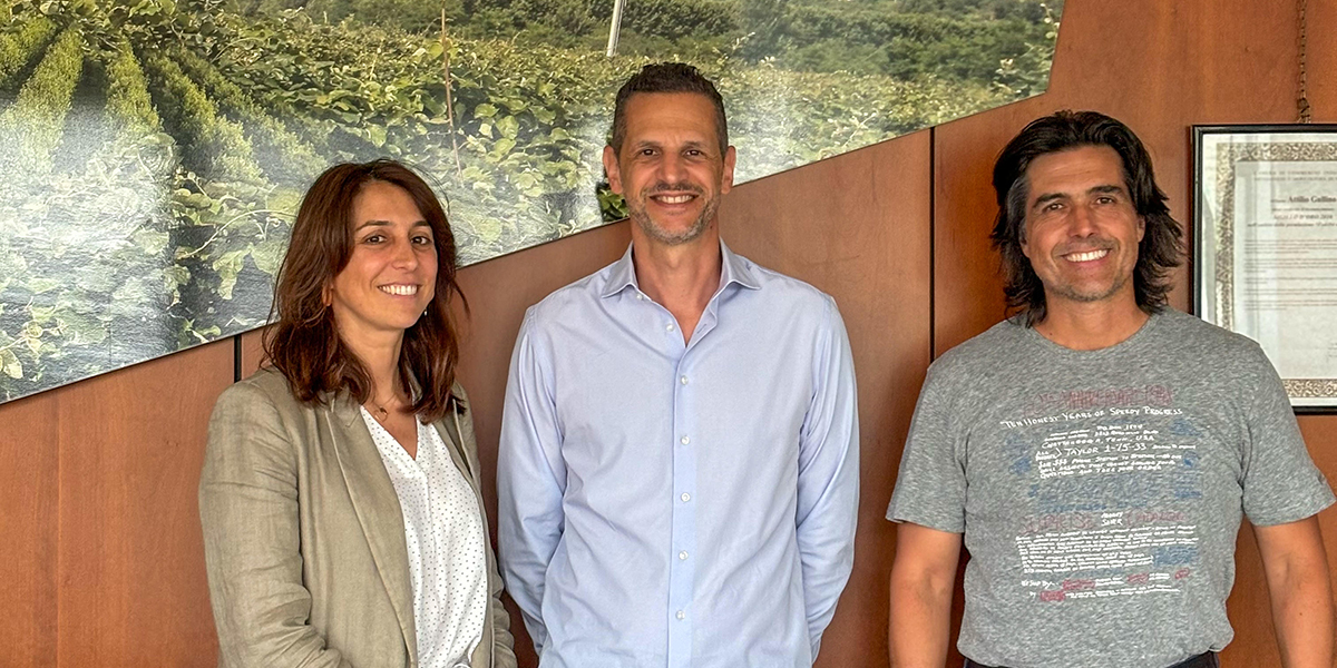 Gullino e Jingold, partnership per la coltivazione del kiwi a polpa gialla Jintao 